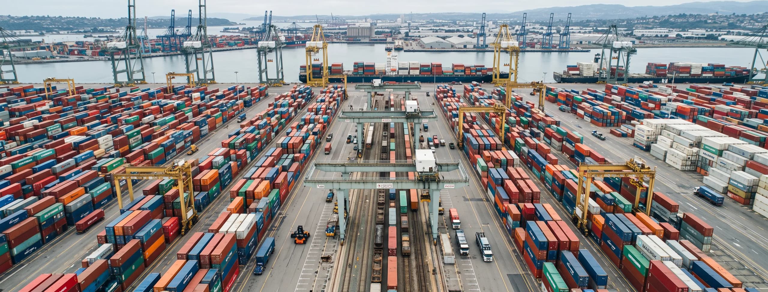Common problems in logistics software