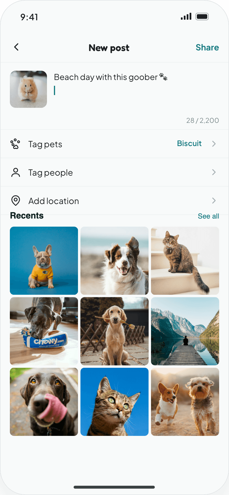 Caption & details