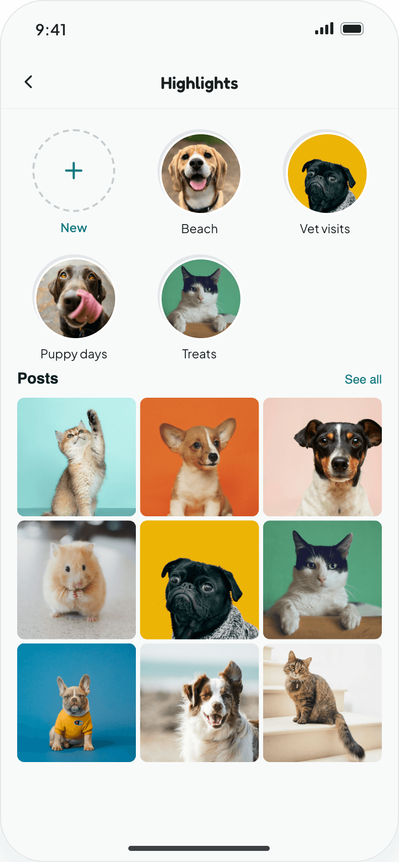 Profile highlights