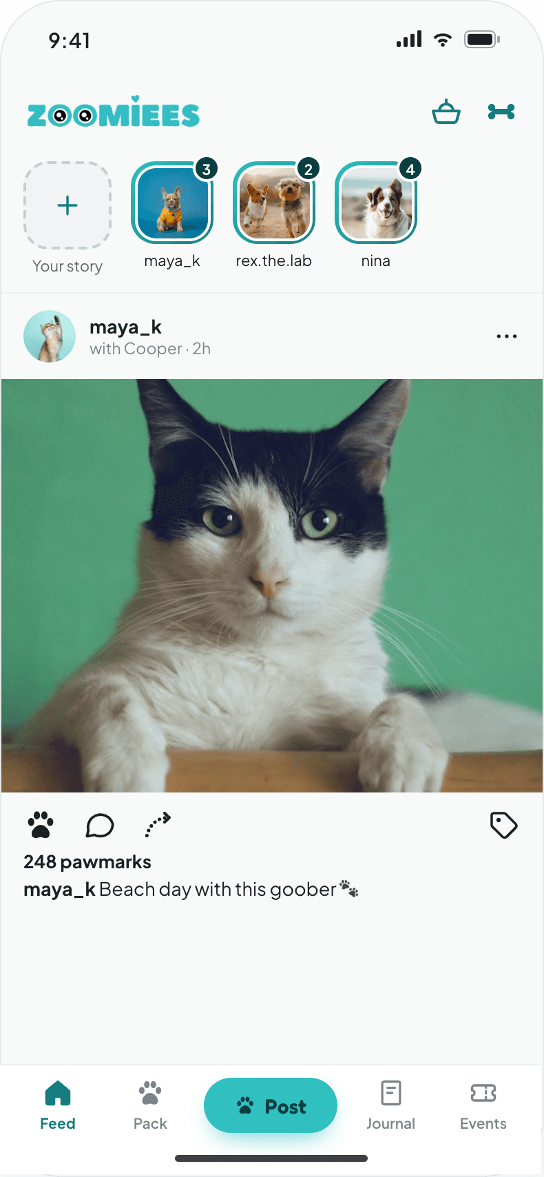 Zoomiees Feed Screen