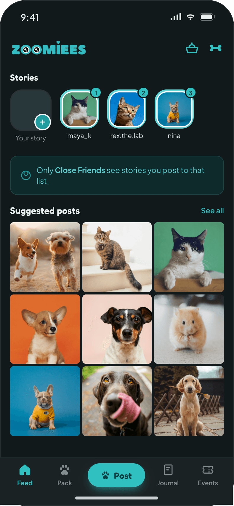 Close Friends stories
