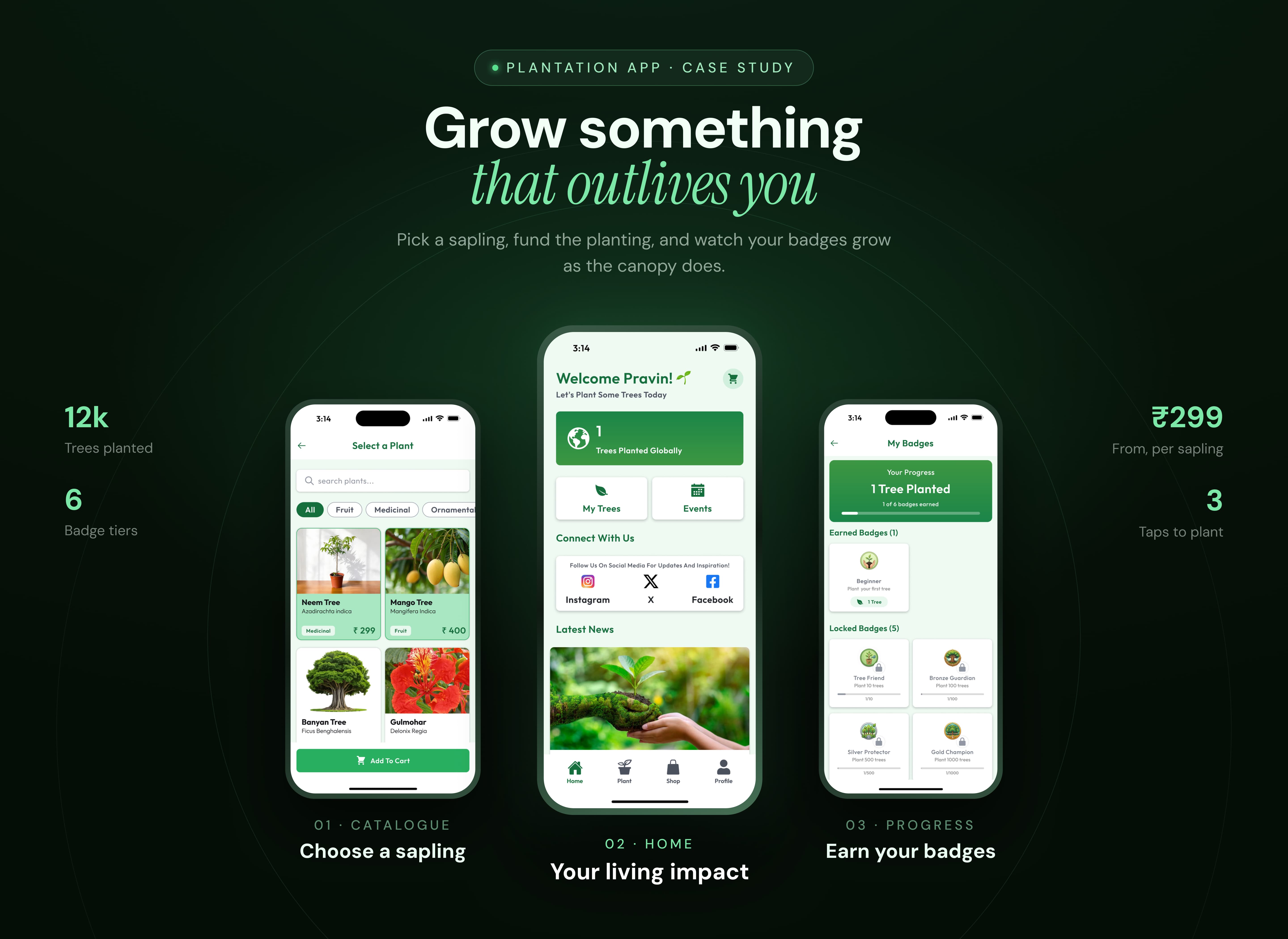 Three Me And My Tree app screens on a mint background